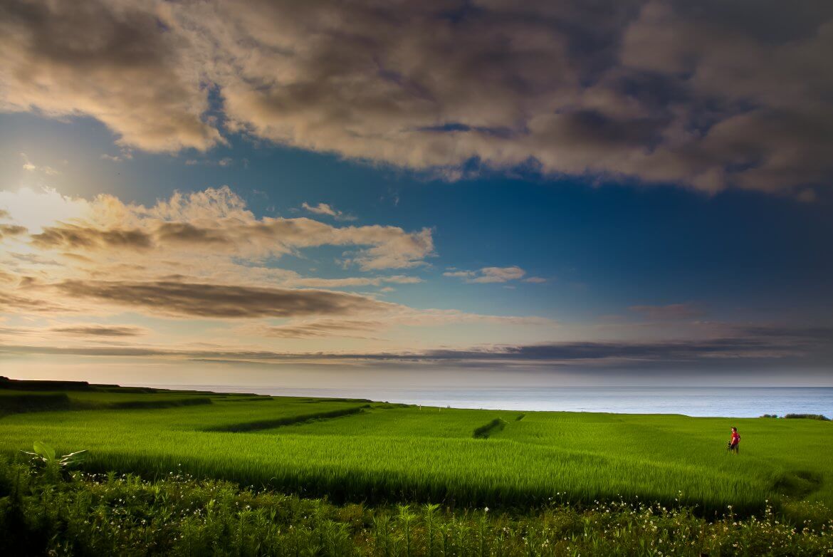 Rice fields on Hualien coast