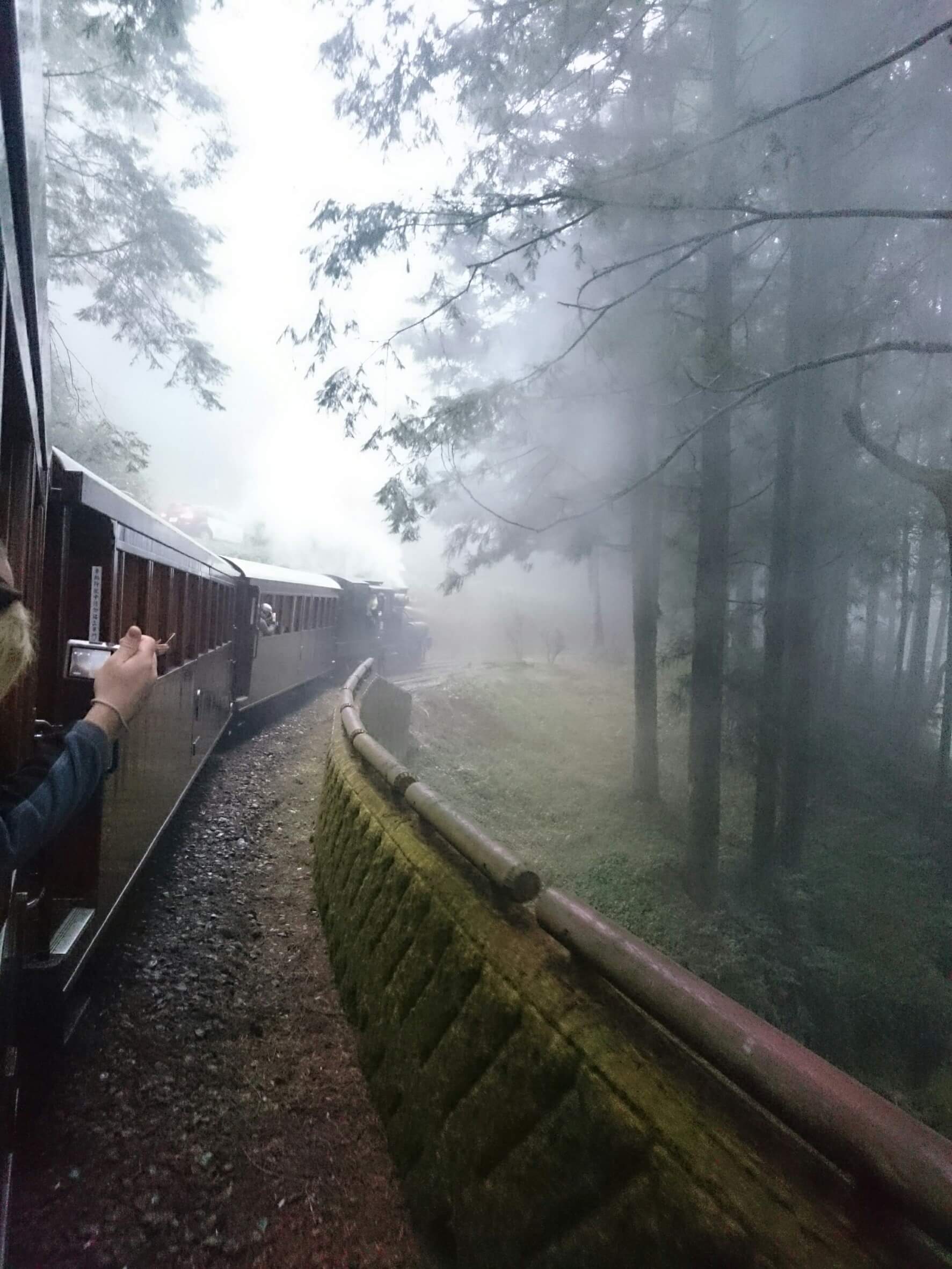 top 30 scenes of mytaiwantour_Alishan Train