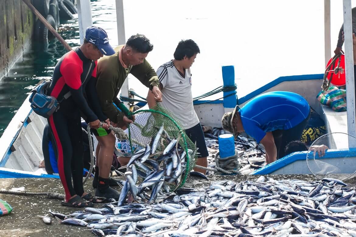 Fishermen at Kaiyuan Harbor