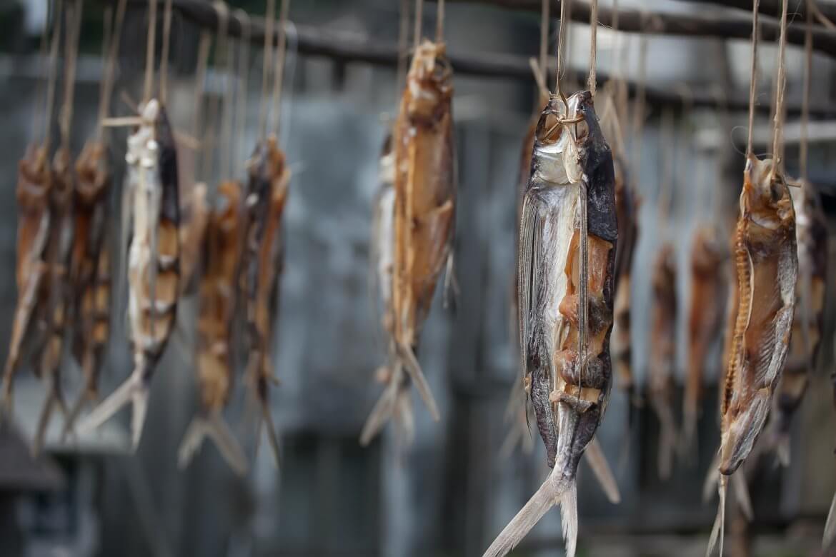 Flying fish drying in the sun