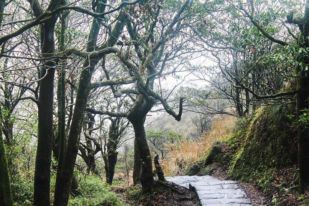 Taiwan Scene_Seven Star mountain hike_04