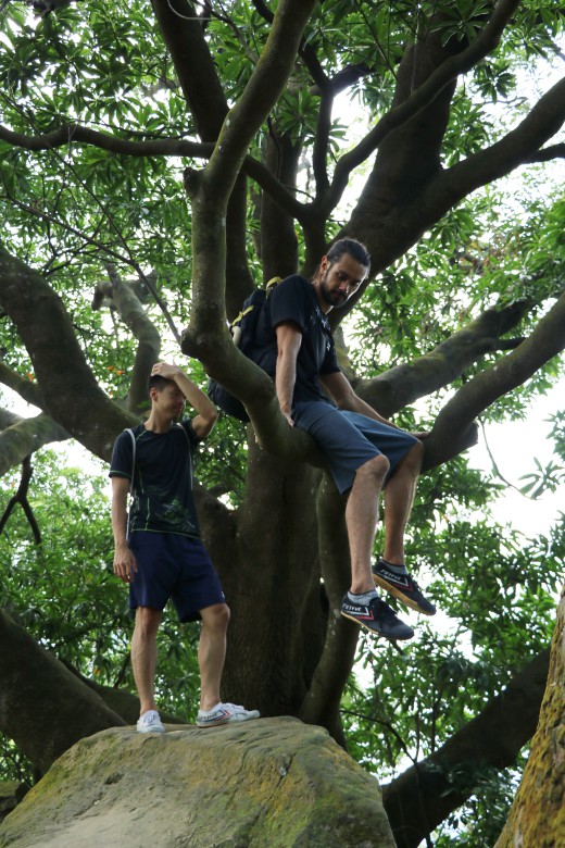 taiwan-scene-hiking-elephant-mountain-xiangshan-1