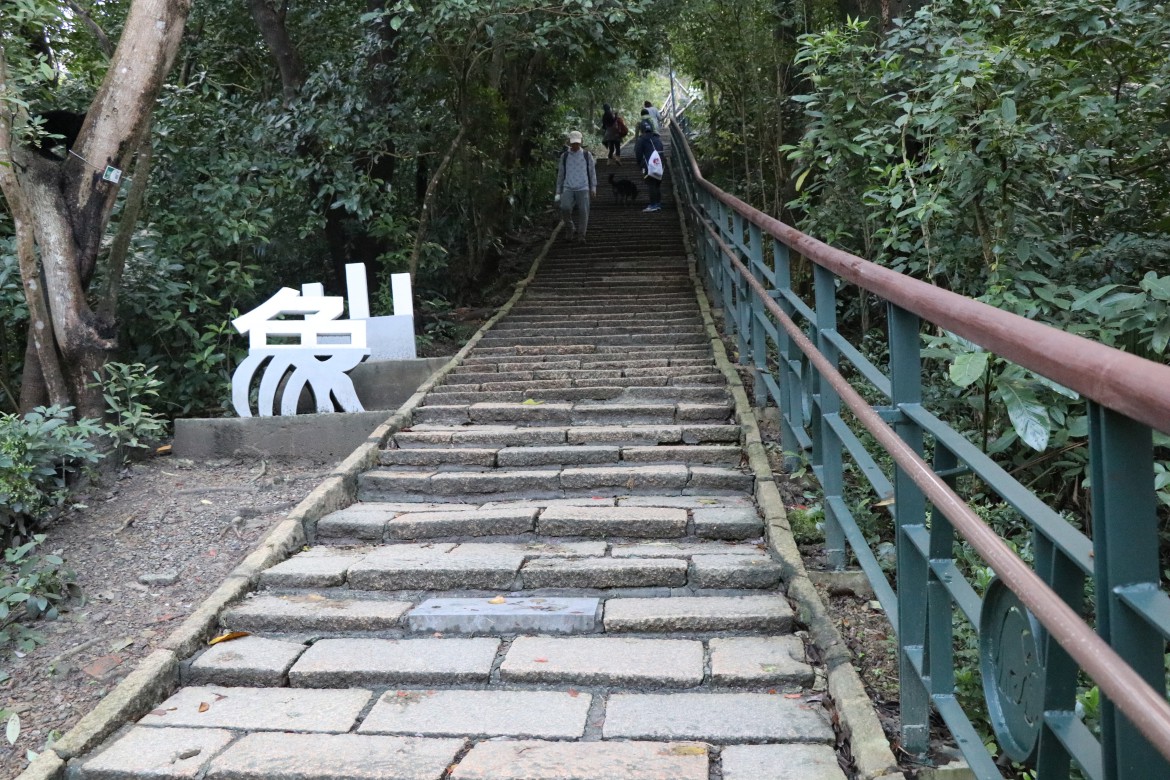 taiwan-scene-hiking-elephant-mountain-xiangshan-4