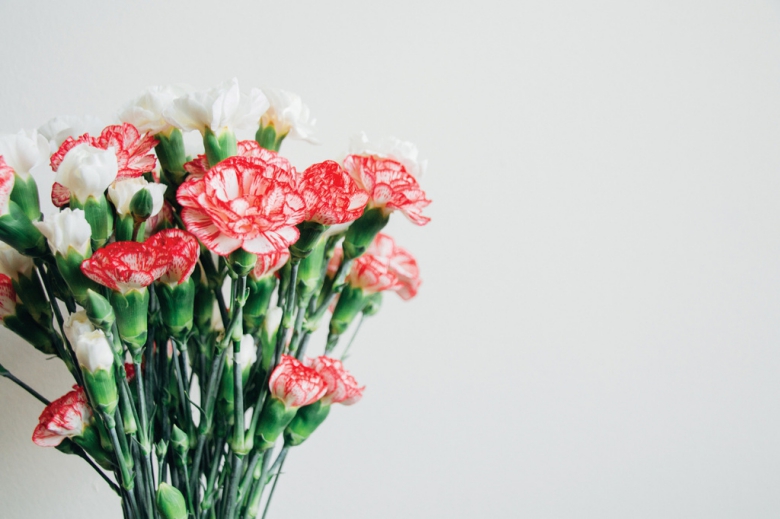 Sending Flowers-Culture-Carnation