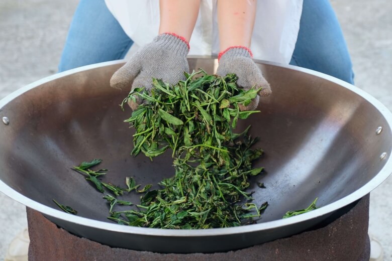 The procedure of making tea- pan fixation (fried tea leaves).