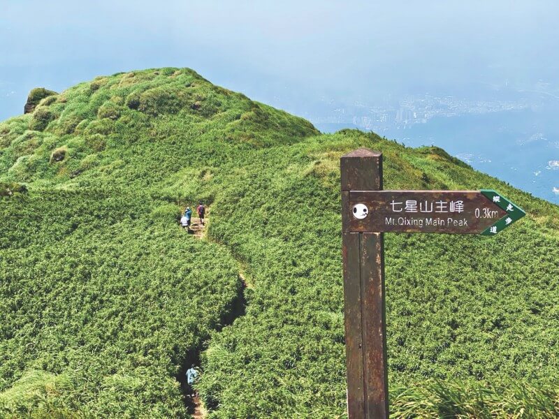 The highest peak of Taipei - Mt. Qixing - is also known for its winding trail surrounded by grassland.