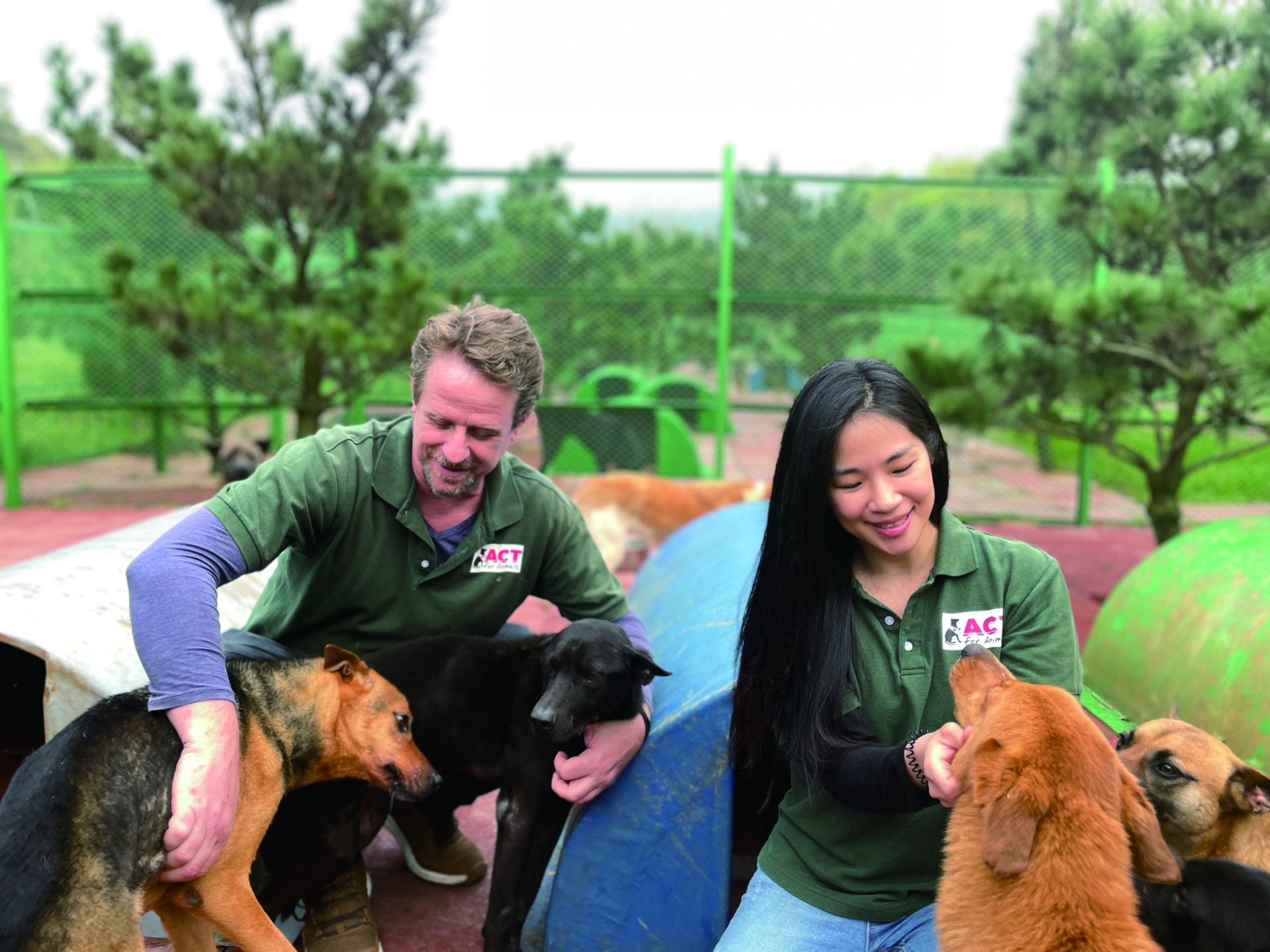 ACT for Animals founder Judy Hsu and co-founder Sean McCormack have long been dedicated to helping stray animals in Taiwan.