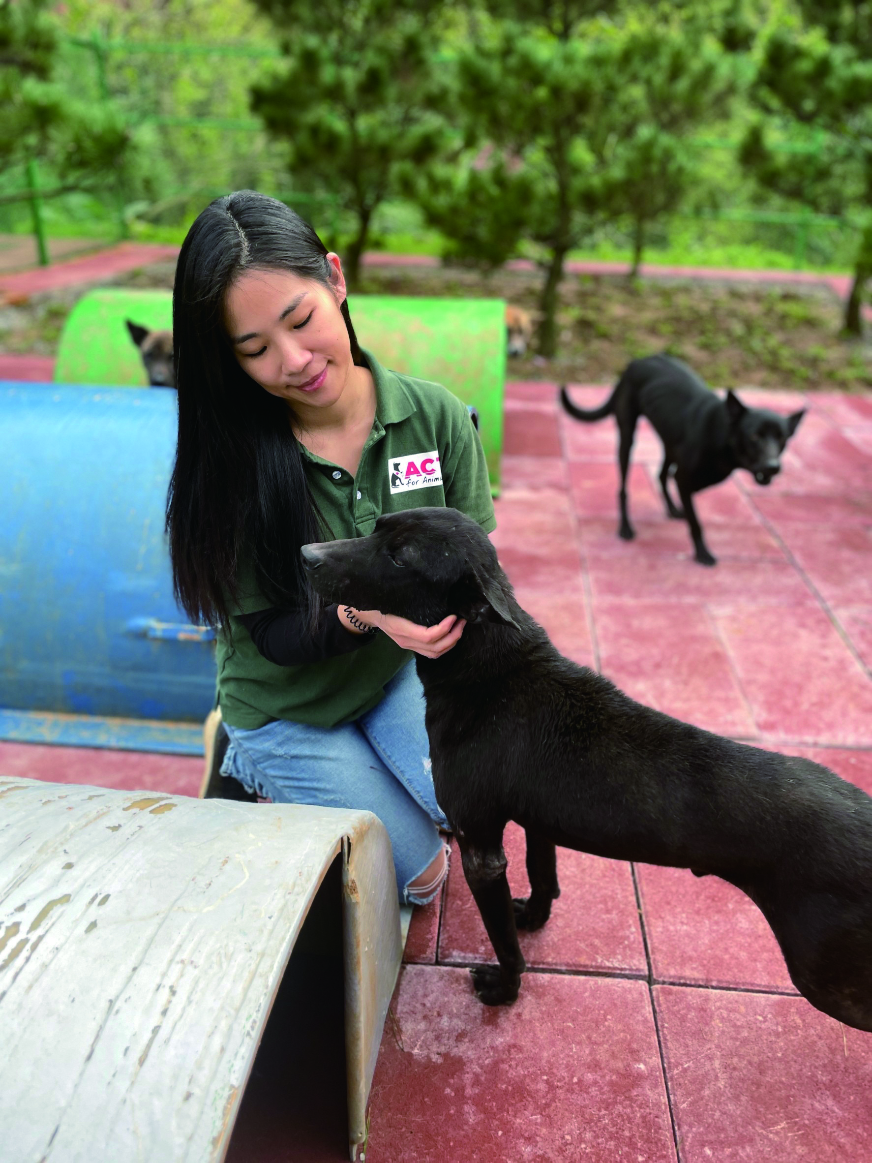  Hsu hopes to build more spacious and comfortable sanctuaries in the future to care for animals. 