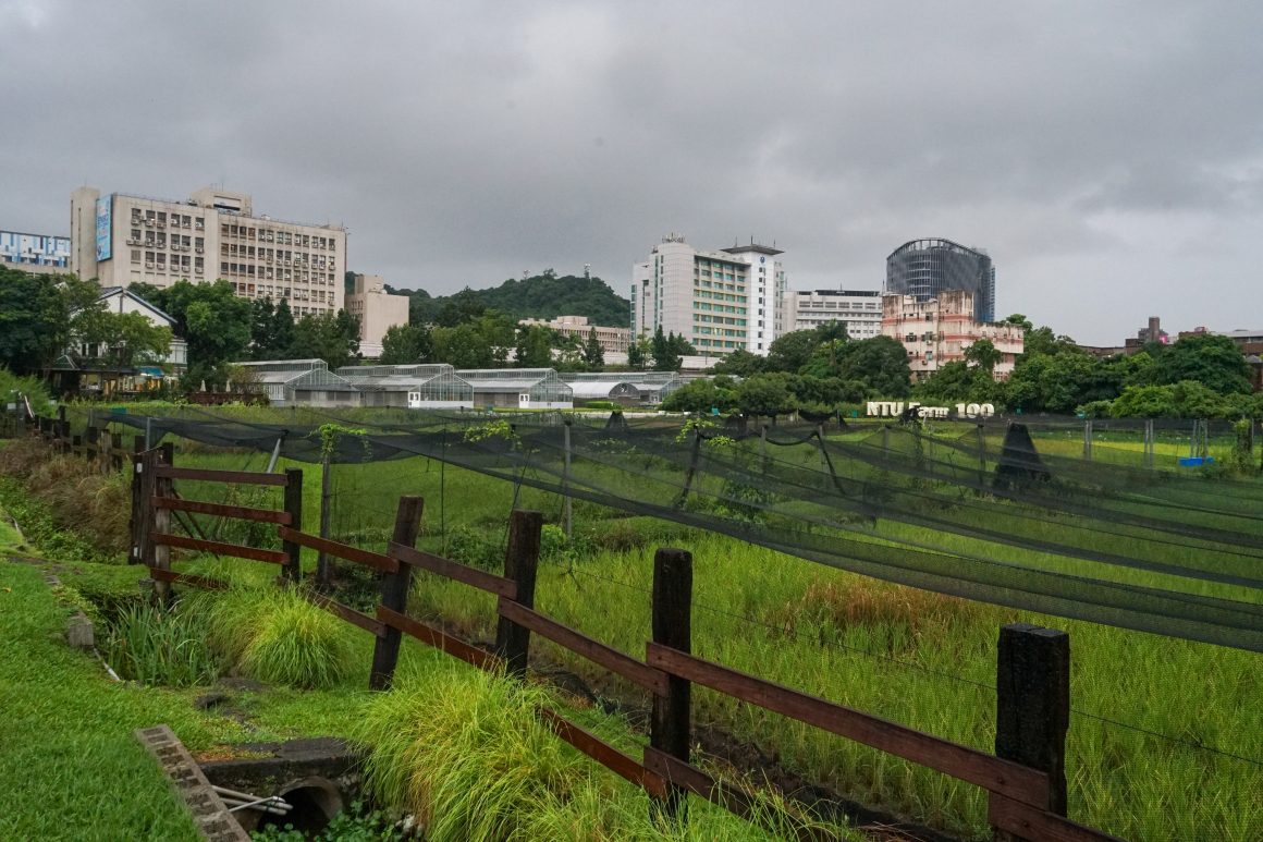 The NTU experimental farm.