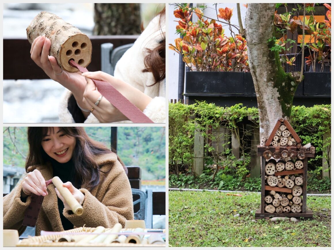 Crafting homes for solitary bees to support biodiversity.